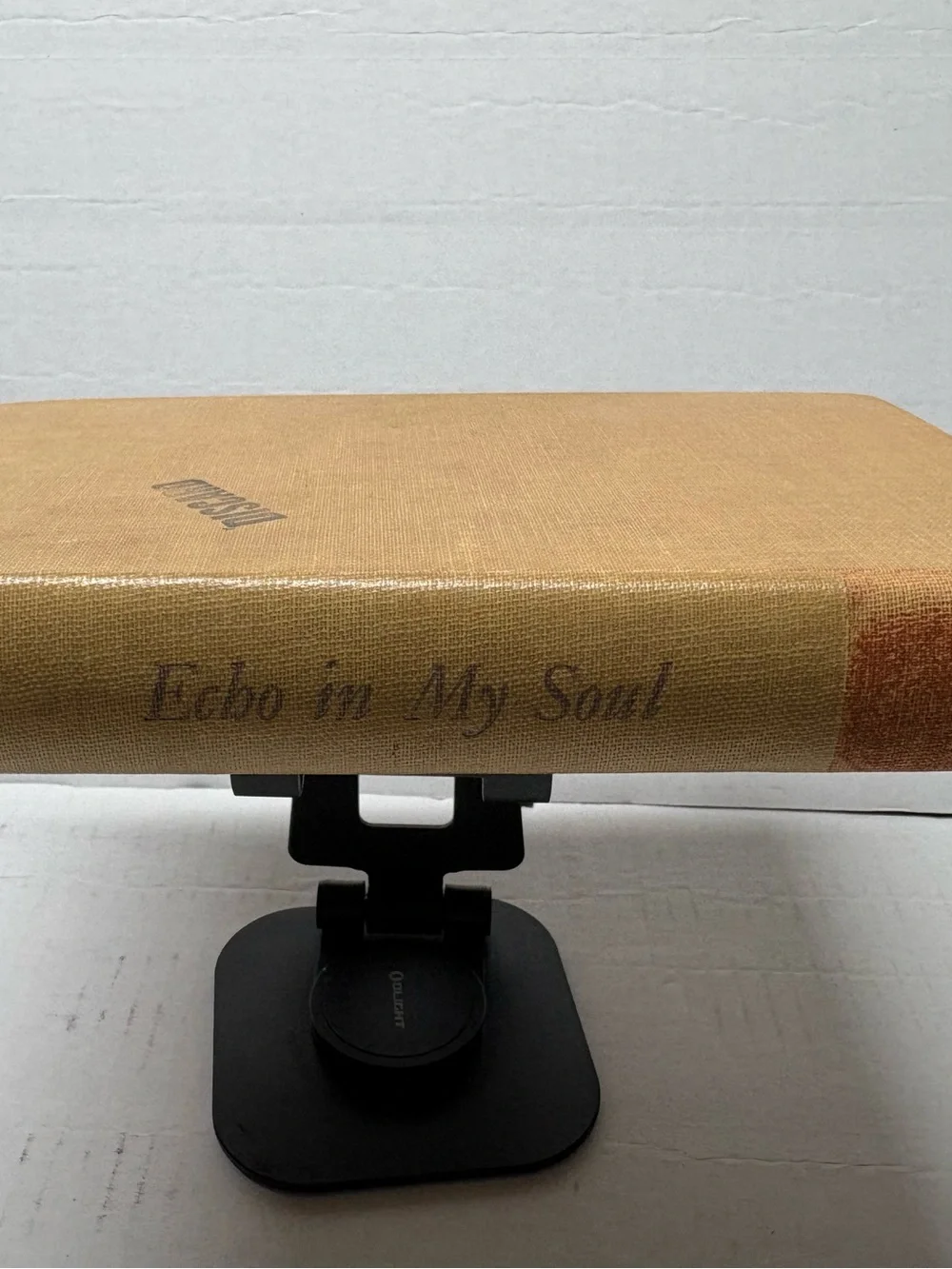Echo in My Soul ~ SEPTIMA POINSETTE CLARK ~ First Edition 1st 1962 Civil Rights